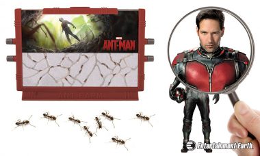 The Classic Ant Farm Gets a Twist Thanks to Scott Lang